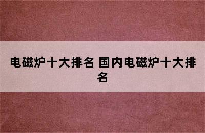 电磁炉十大排名 国内电磁炉十大排名